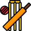 cricket (4) cricket (4)